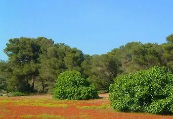 Landhuis Agroturismo Ses Arenes Pension Colonia de Sant Jordi Spanje