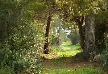 Agroturismo Ses Arenes Pension Colonia de Sant Jordi Spanje