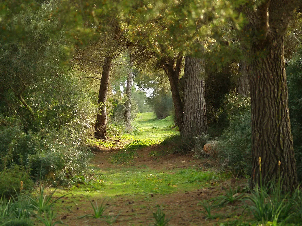 Landhuis Agroturismo Ses Arenes Pension Colonia de Sant Jordi