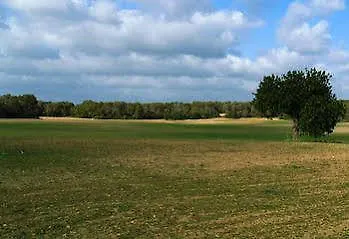 Venkovský dům Agroturismo Ses Arenes Colonia de Sant Jordi